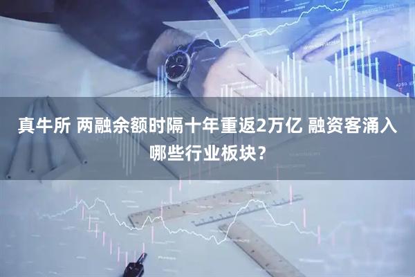 真牛所 两融余额时隔十年重返2万亿 融资客涌入哪些行业板块？